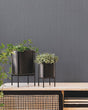 Warner Solids  Wallpaper 4181-4728 - Eade's