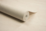 Chesapeake 4191-83000 Morgana Off-White Stone Wallpaper