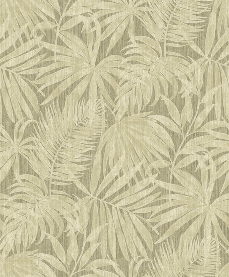 Chesapeake 4191-83027 Sonny Green Fronds Wallpaper