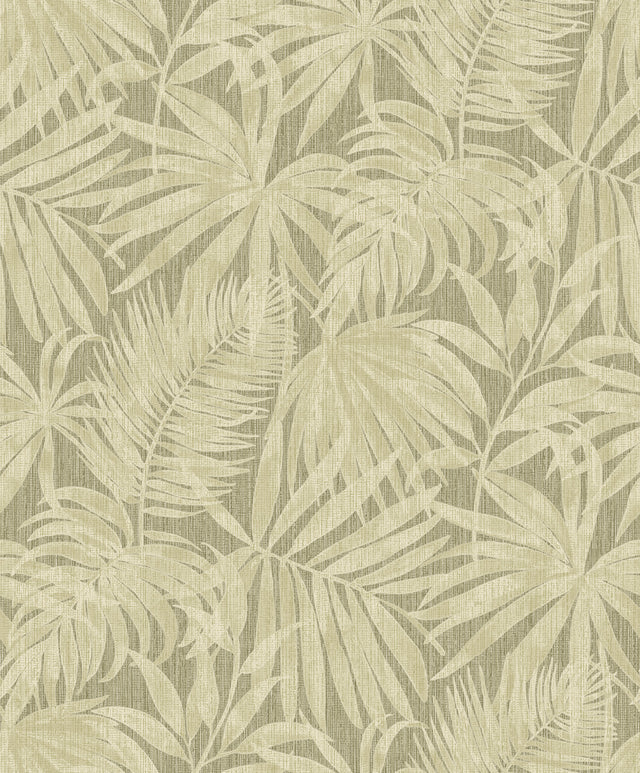 Chesapeake 4191-83027 Sonny Green Fronds Wallpaper