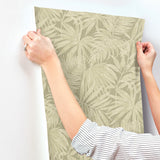 Chesapeake 4191-83027 Sonny Green Fronds Wallpaper