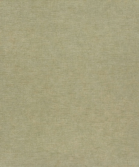 Chesapeake 4191-83041 Tansy Green Distressed Wallpaper