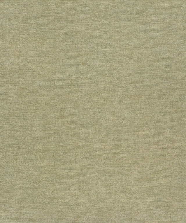 Chesapeake 4191-83041 Tansy Green Distressed Wallpaper
