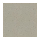 KRAVET DESIGN 4191.21.0 SUNSTONE HAZE Fabric