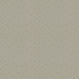 KRAVET DESIGN 4191.21.0 SUNSTONE HAZE Fabric