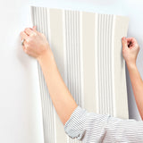 Chesapeake 4192-83434 Bingley Light Grey Embellished Stripe 
