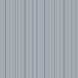 Chesapeake 4192-83452 Lascelle Light Blue Modern Pinstripe W
