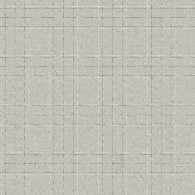 Chesapeake 4192-83456 Fox Hollow Light Grey Dashed Plaid Wal