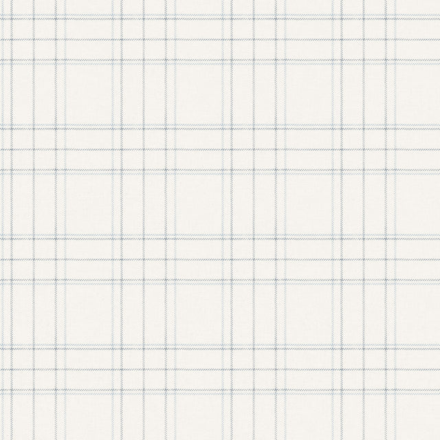 Chesapeake 4192-83460 Fox Hollow White Dashed Plaid Wallpape