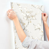 A-Street Prints 4198-27843 Bliss Honey Blossom Wallpaper