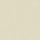 KRAVET DESIGN 4198.21.0 ZAYN GREIGE Fabric