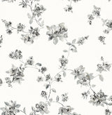 Chesapeake 4199-24482 Festival Floral Charcoal Trailing Wallpaper