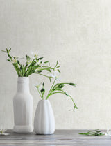 Chesapeake 4199-27773 Abram Dove Distressed Wallpaper
