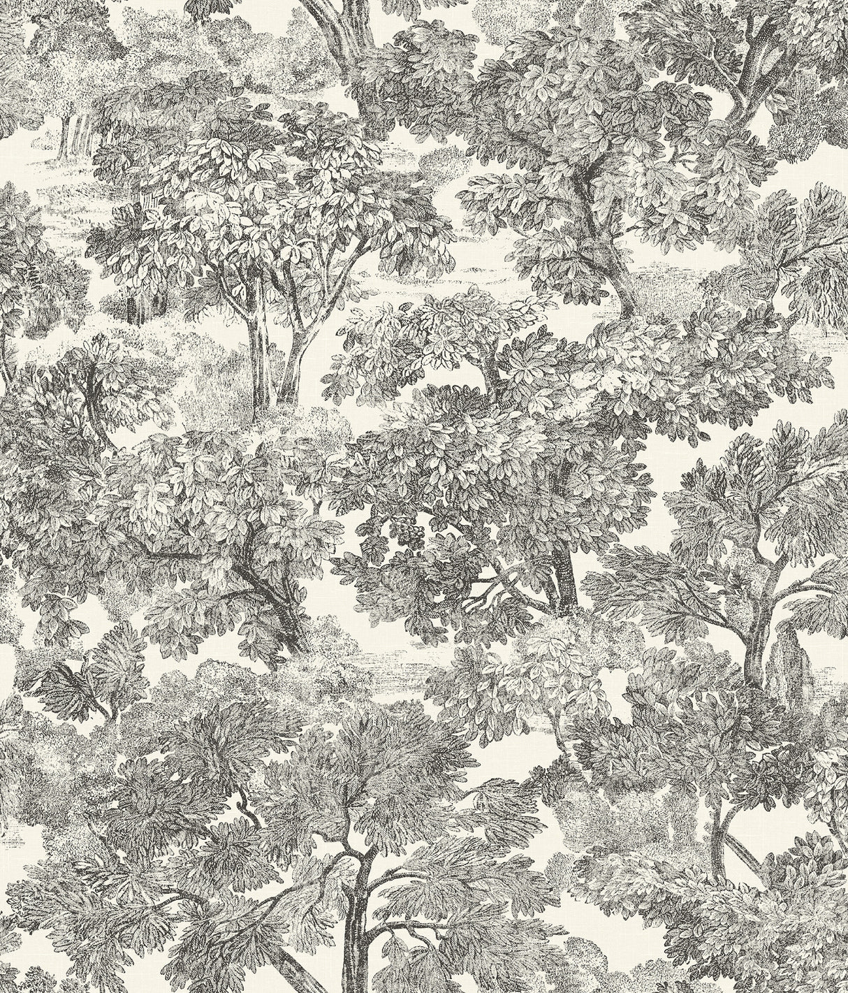 Chesapeake 4199-72558 Spinney Black Toile Wallpaper