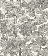 Chesapeake 4199-72558 Spinney Black Toile Wallpaper