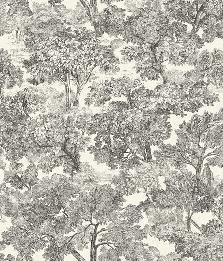 Chesapeake 4199-72558 Spinney Black Toile Wallpaper