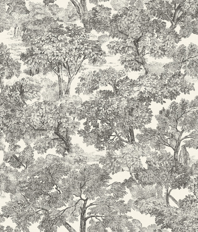 Chesapeake 4199-72558 Spinney Black Toile Wallpaper