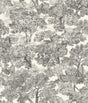 Chesapeake 4199-72558 Spinney Black Toile Wallpaper