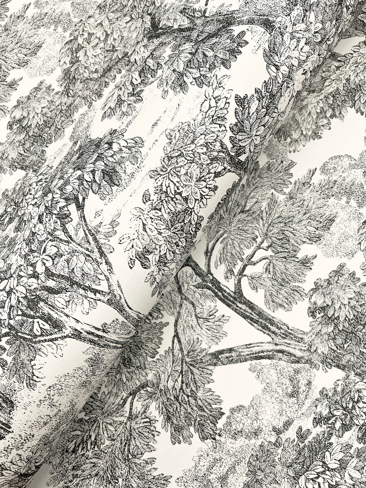 Chesapeake 4199-72558 Spinney Black Toile Wallpaper