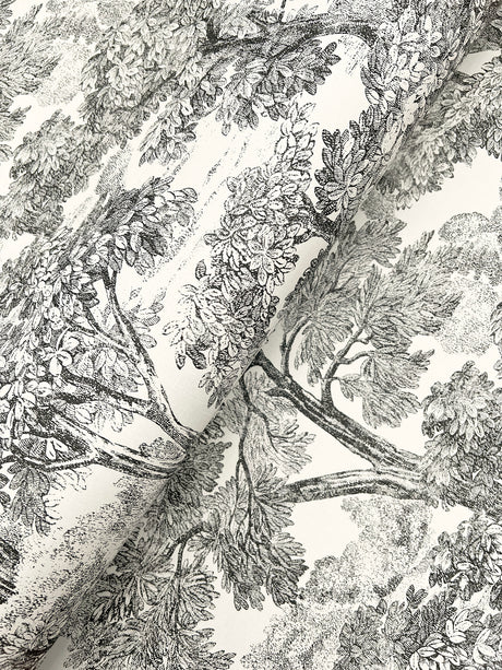 Chesapeake 4199-72558 Spinney Black Toile Wallpaper