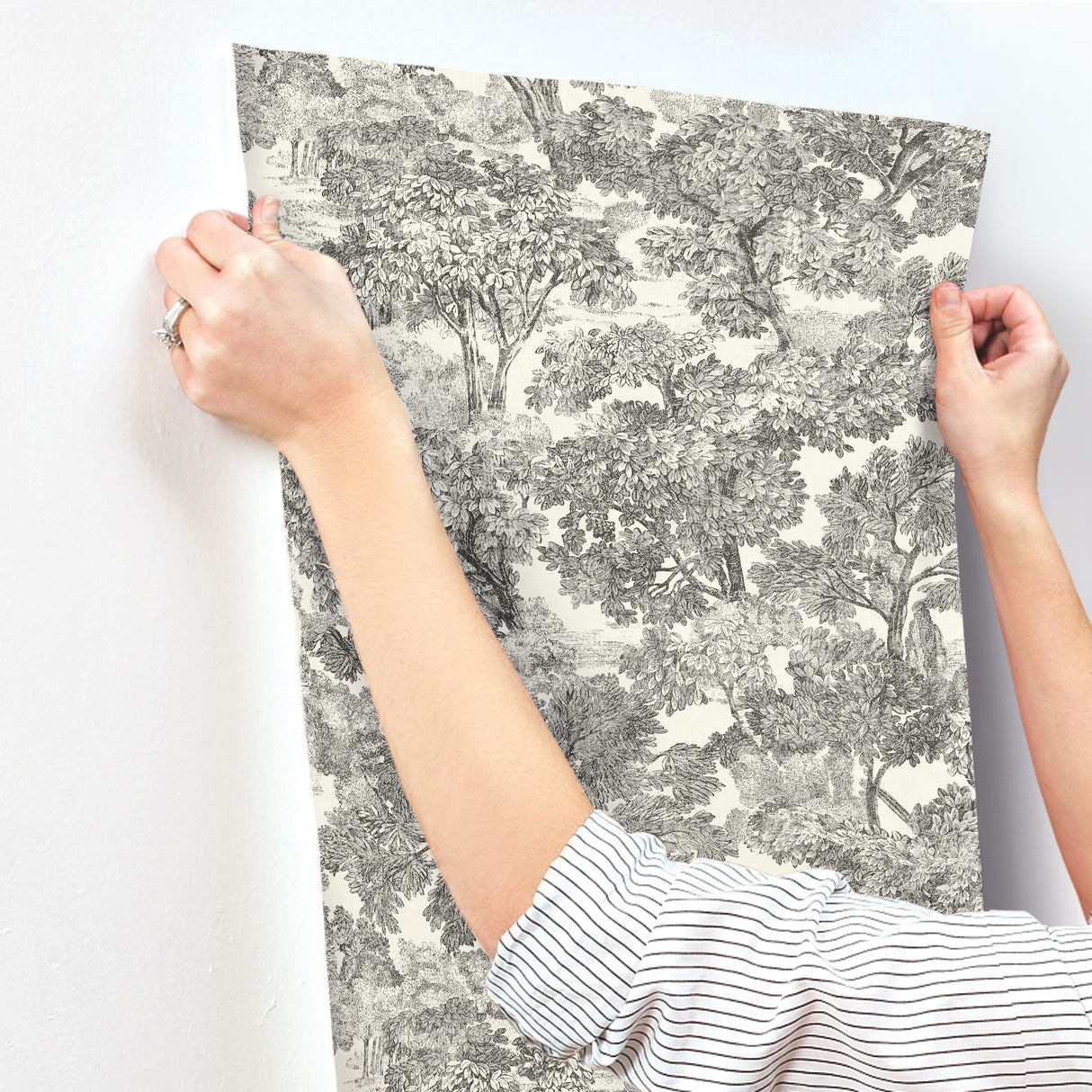 Chesapeake 4199-72558 Spinney Black Toile Wallpaper