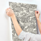 Chesapeake 4199-72558 Spinney Black Toile Wallpaper