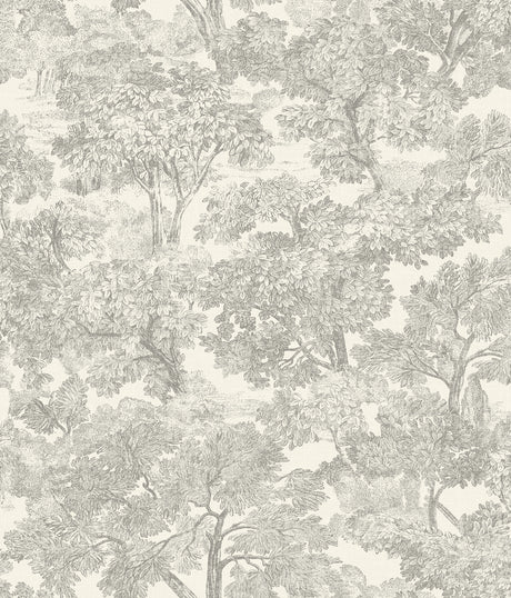 Chesapeake 4199-72560 Spinney Grey Toile Wallpaper