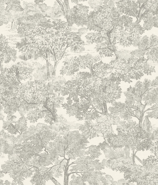 Chesapeake 4199-72560 Spinney Grey Toile Wallpaper