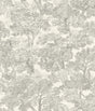Chesapeake 4199-72560 Spinney Grey Toile Wallpaper