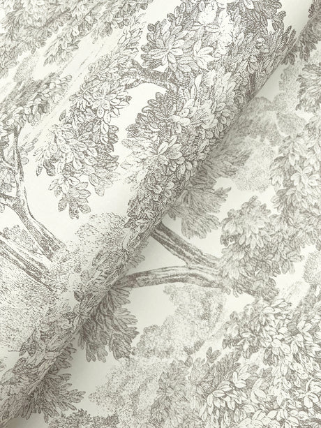 Chesapeake 4199-72560 Spinney Grey Toile Wallpaper