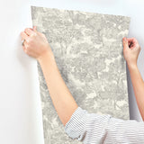 Chesapeake 4199-72560 Spinney Grey Toile Wallpaper