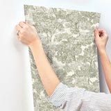 Chesapeake 4199-72561 Spinney Green Toile Wallpaper