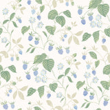Chesapeake 4199-83715 Mercy White Berry Vines Wallpaper