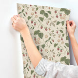 Chesapeake 4199-83717 Mercy Taupe Berry Vines Wallpaper