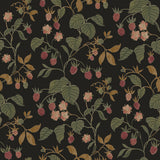 Chesapeake 4199-83718 Mercy Black Berry Vines Wallpaper