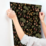 Chesapeake 4199-83718 Mercy Black Berry Vines Wallpaper