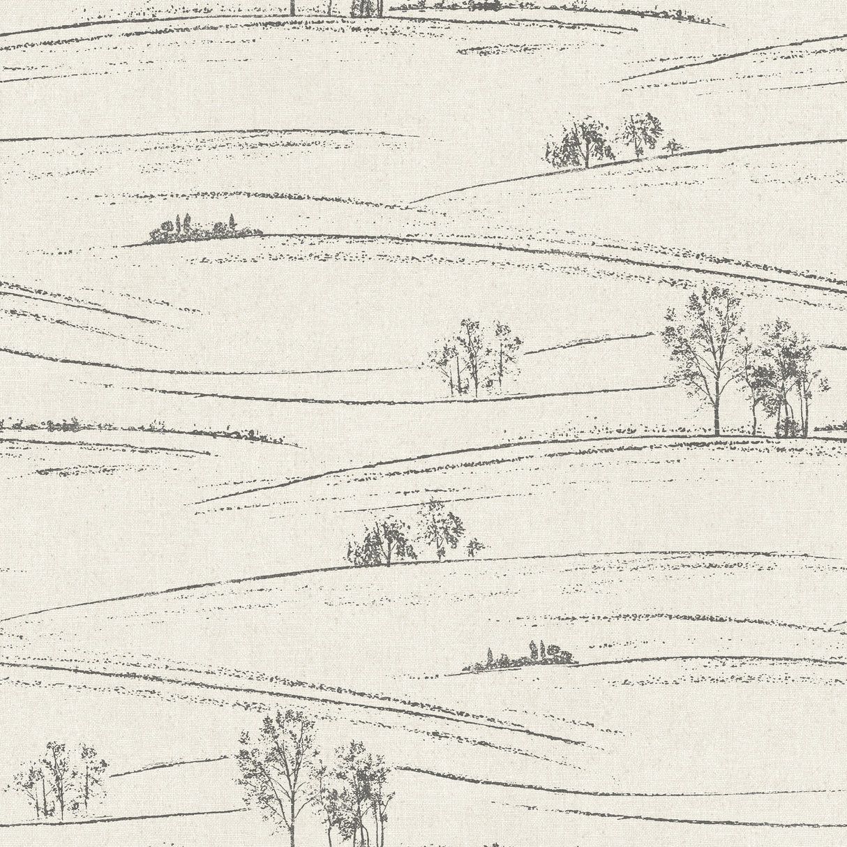 Chesapeake 4199-83728 Isaac Black Rolling Hills Wallpaper