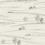 Chesapeake 4199-83728 Isaac Black Rolling Hills Wallpaper
