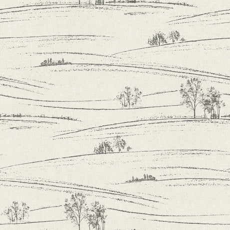 Chesapeake 4199-83728 Isaac Black Rolling Hills Wallpaper