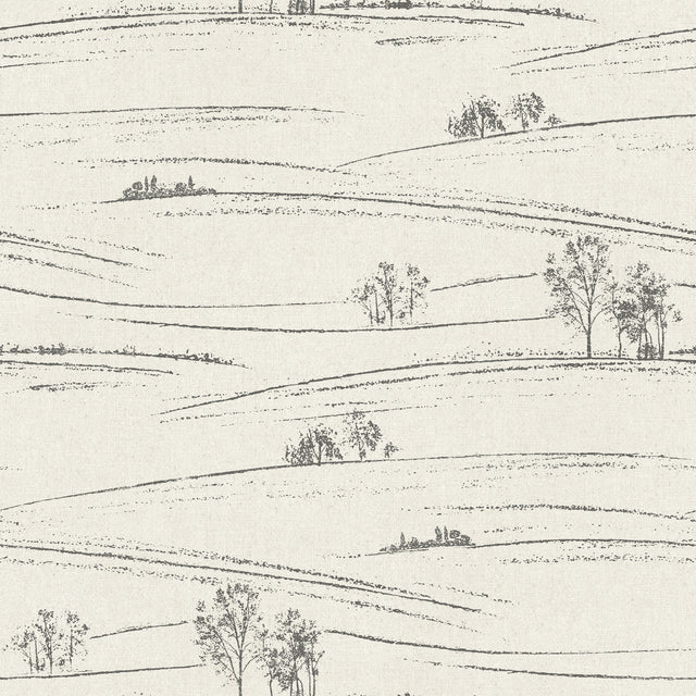 Chesapeake 4199-83728 Isaac Black Rolling Hills Wallpaper