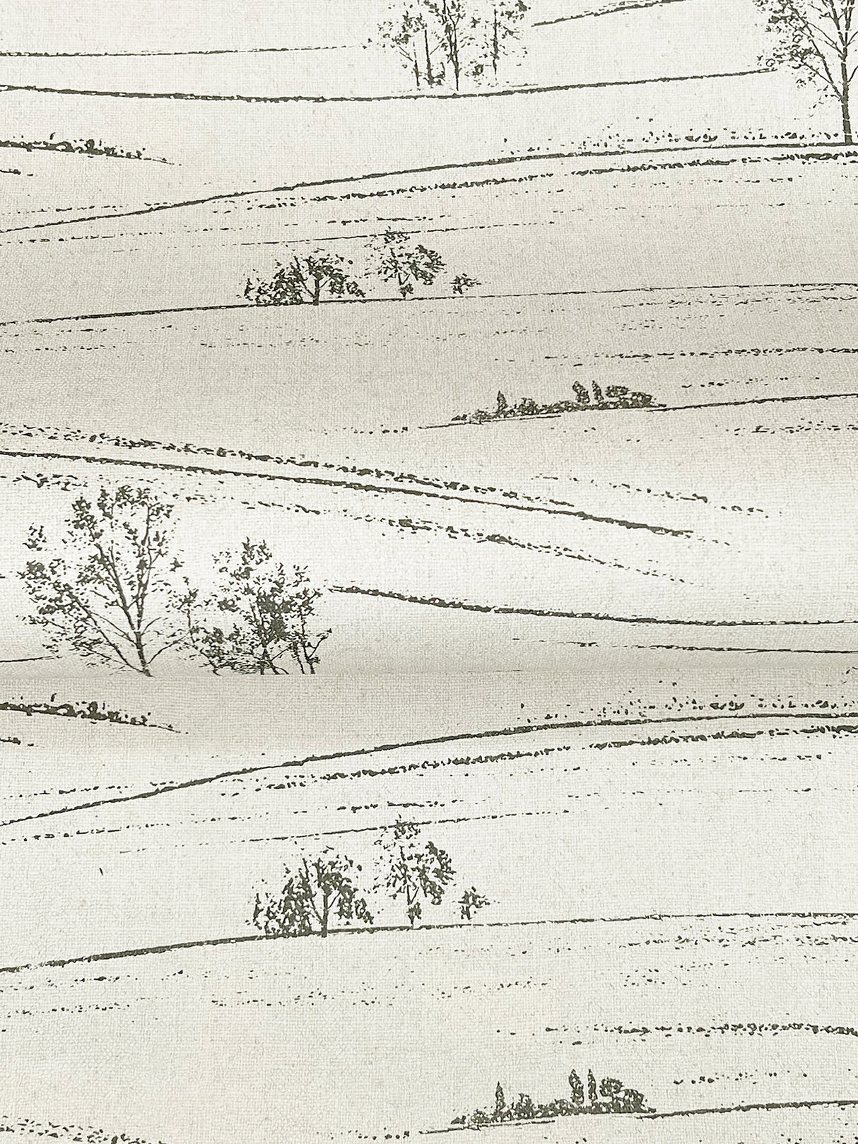 Chesapeake 4199-83728 Isaac Black Rolling Hills Wallpaper
