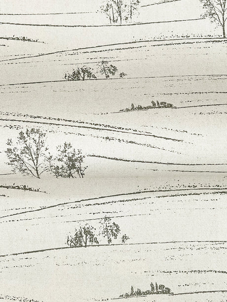 Chesapeake 4199-83728 Isaac Black Rolling Hills Wallpaper