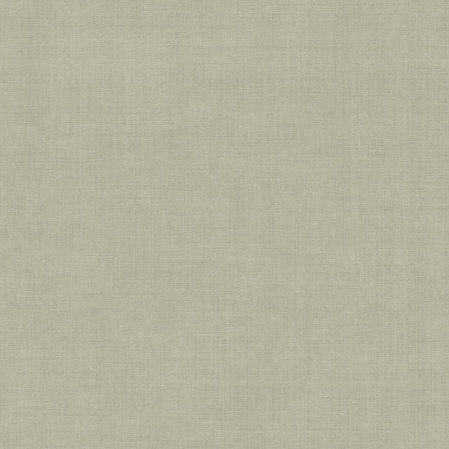 A-Street Prints 4201-16022 Midolin Pewter Texture Wallpaper