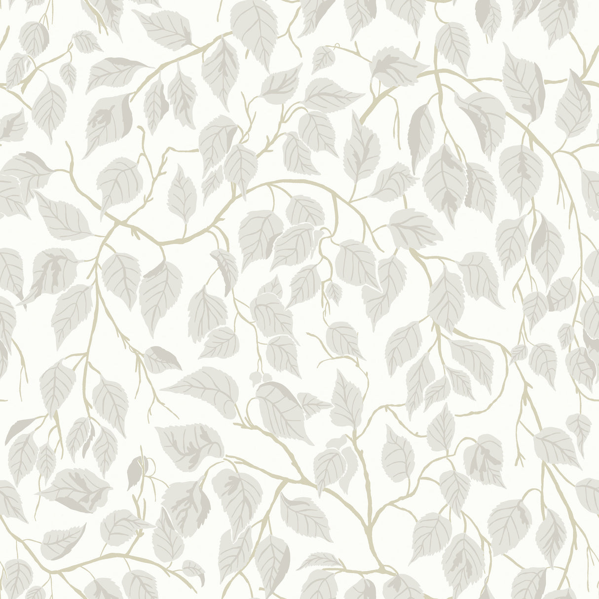 A-Street Prints 4201-20106 Hängbjörk Dove Vine Wallpaper