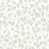 A-Street Prints 4201-20106 Hängbjörk Dove Vine Wallpaper