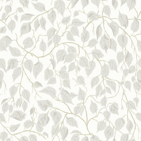 A-Street Prints 4201-20106 Hängbjörk Dove Vine Wallpaper