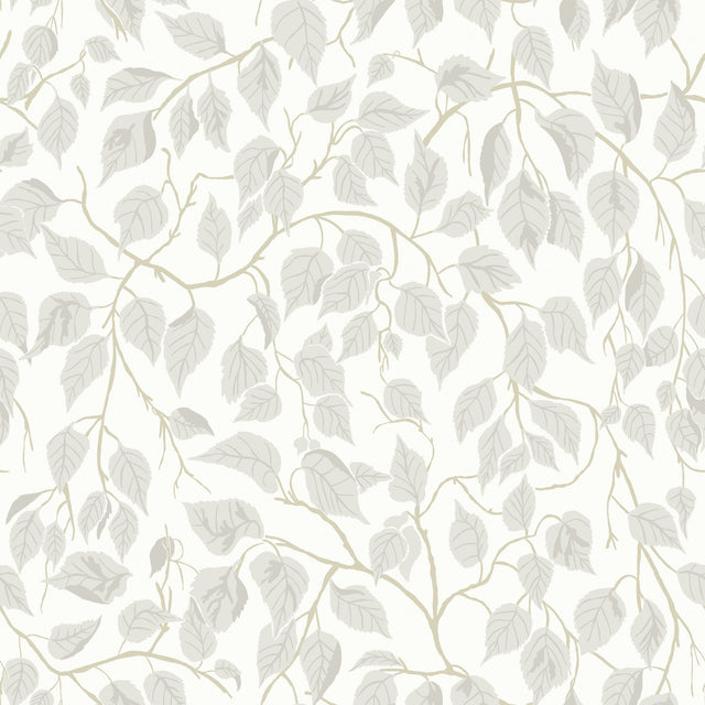 A-Street Prints 4201-20106 Hängbjörk Dove Vine Wallpaper