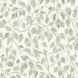 A-Street Prints 4201-20107 Hängbjörk Sage Vine Wallpaper