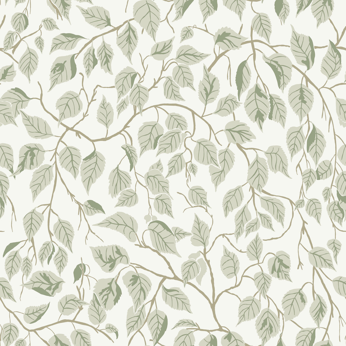 A-Street Prints 4201-20107 Hängbjörk Sage Vine Wallpaper