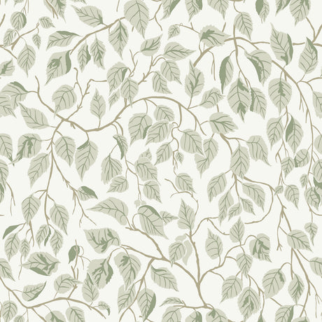 A-Street Prints 4201-20107 Hängbjörk Sage Vine Wallpaper